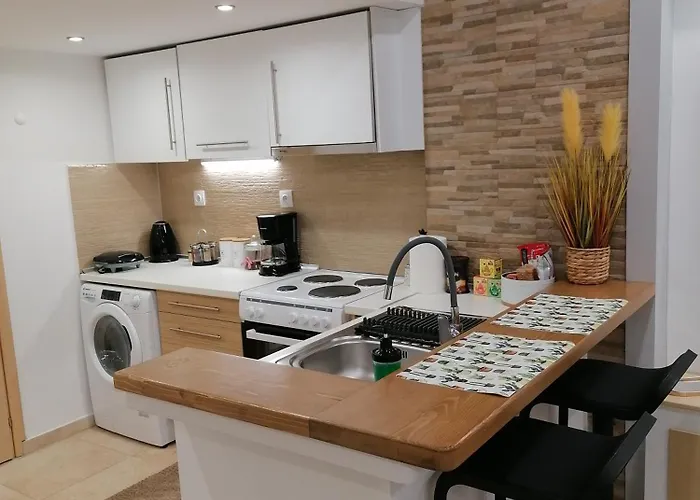 公寓 Jolie Maison 沃洛斯